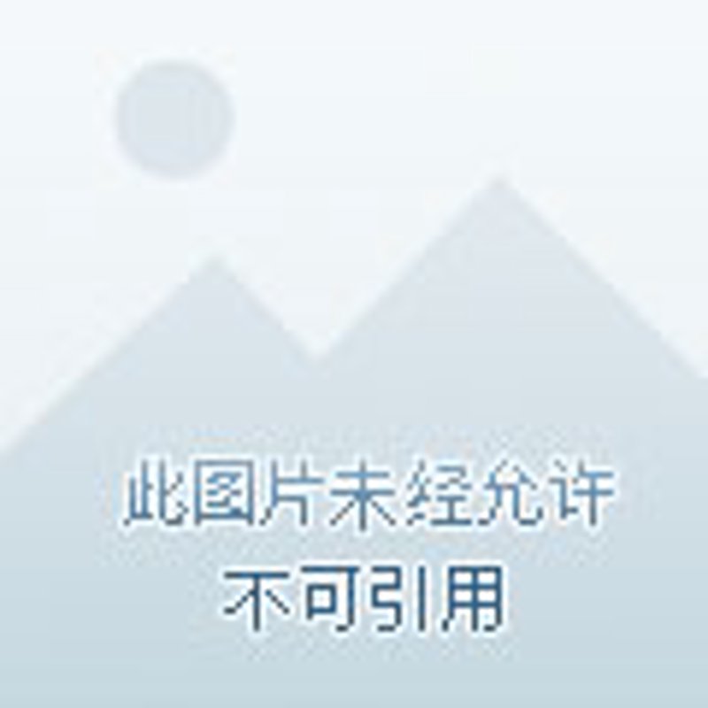 艺术展览策划:一场文化的视觉盛宴